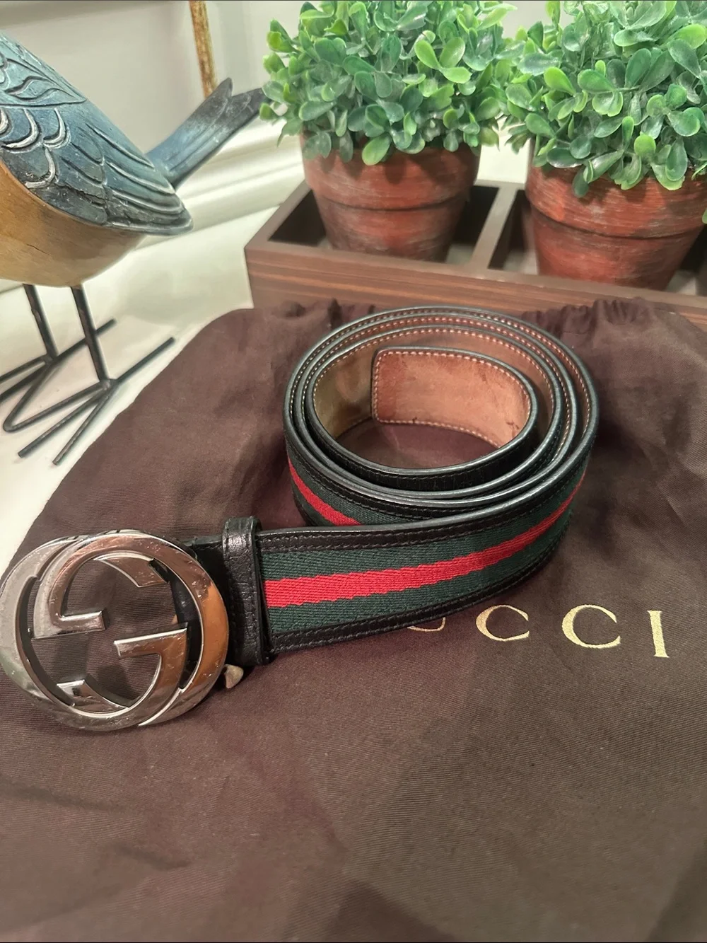 Gucci Belt Sherry Line 105.42
